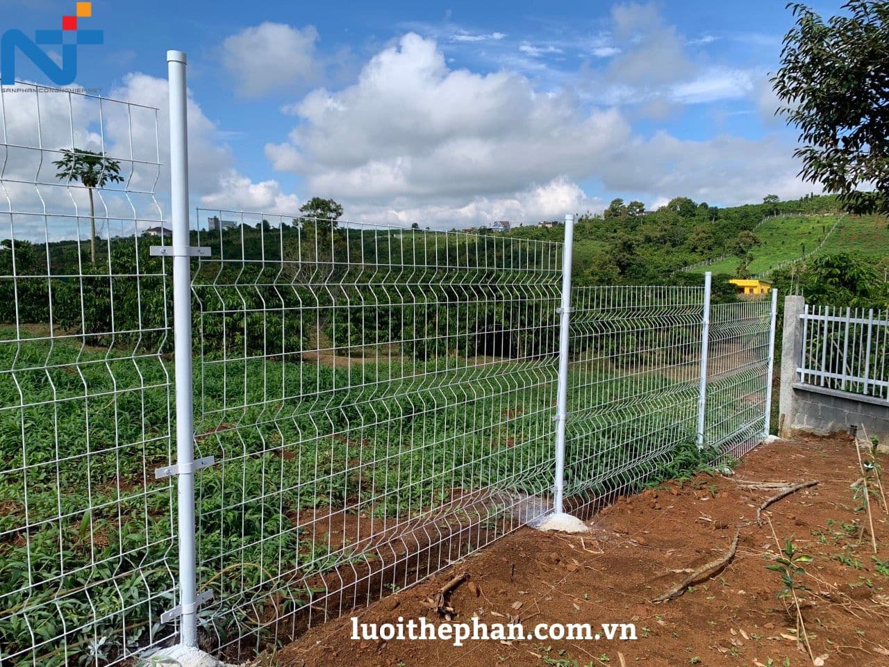 hàng rào đẹp giá rẻ